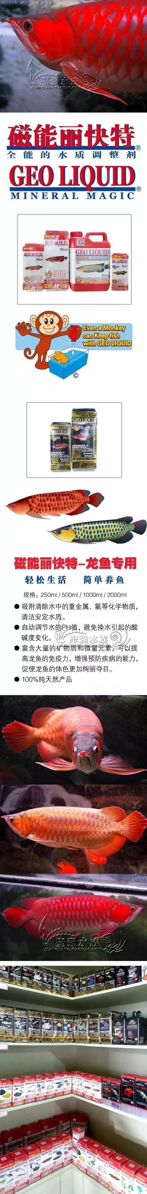 龍魚用什么水養(yǎng)好