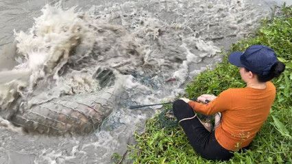 龍魚一直停在水面不動是為什么:龍魚一直停在水面不動可能有多種原因以下幾點可能性 龍魚百科 第2張 龍魚一直停在水面不動是為什么:龍魚一直停在水面不動可能有多種原因以下幾點可能性 龍魚一直停在水面不動是為什么:龍魚一直停在水面不動可能有多種原因以下幾點可能性 龍魚百科 第2張