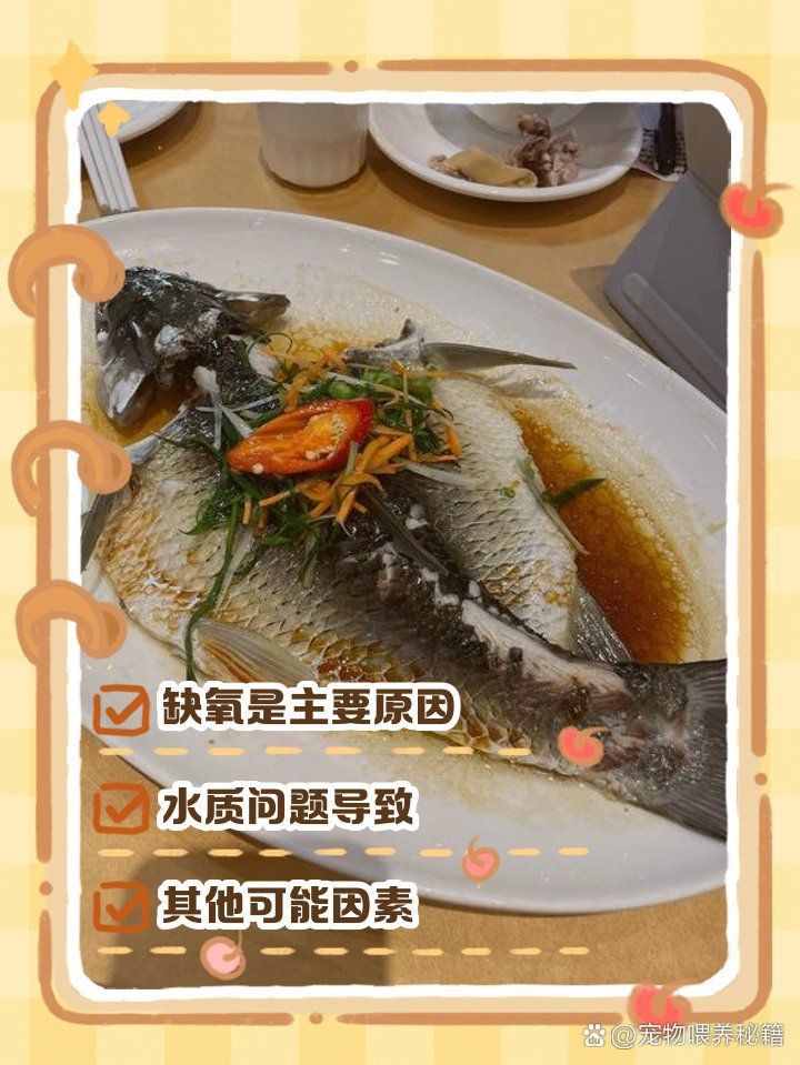龍魚浮頭張嘴有哪些具體表情包？