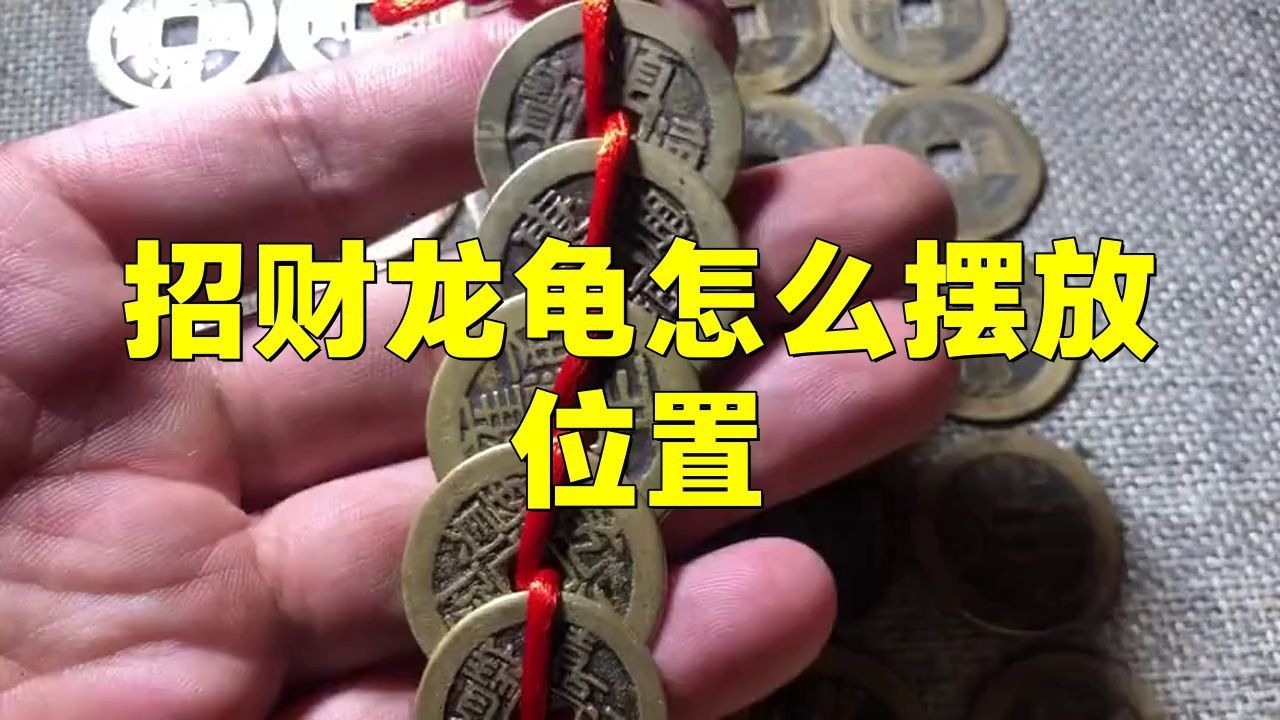 過背藍(lán)底金龍魚多少錢(江蘇藍(lán)底過背金龍魚多少錢) 龍魚百科 第6張 過背藍(lán)底金龍魚多少錢(江蘇藍(lán)底過背金龍魚多少錢) 過背藍(lán)底金龍魚多少錢(江蘇藍(lán)底過背金龍魚多少錢) 龍魚百科 第6張