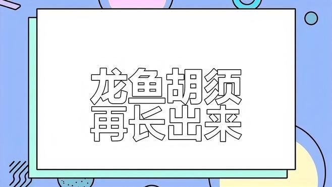 如何判斷龍魚是否恢復？