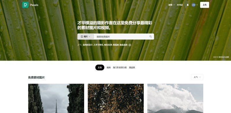 法新社官網如何下載高清圖片？ 法新社官網如何下載高清圖片？ 龍魚百科 第7張