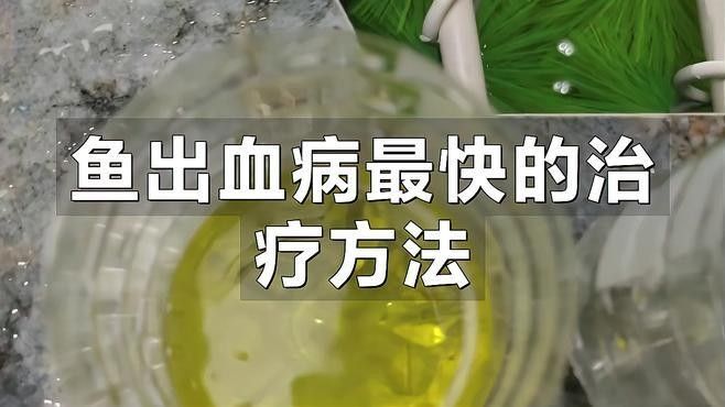 龍魚出血怎么治療視頻