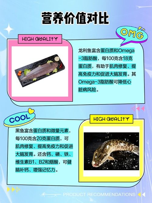 黑魚是龍魚嗎圖片大全大圖 黑魚是龍魚嗎圖片大全大圖 龍魚百科 第15張
