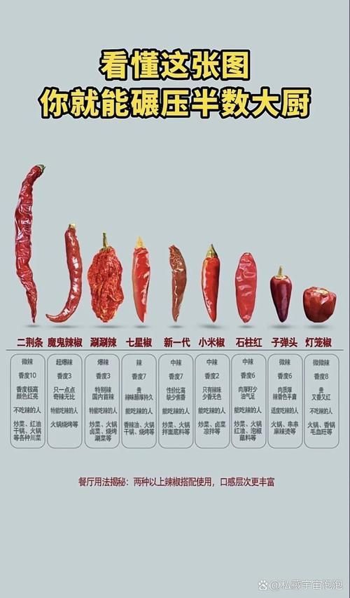 辣椒和超血的區別圖片