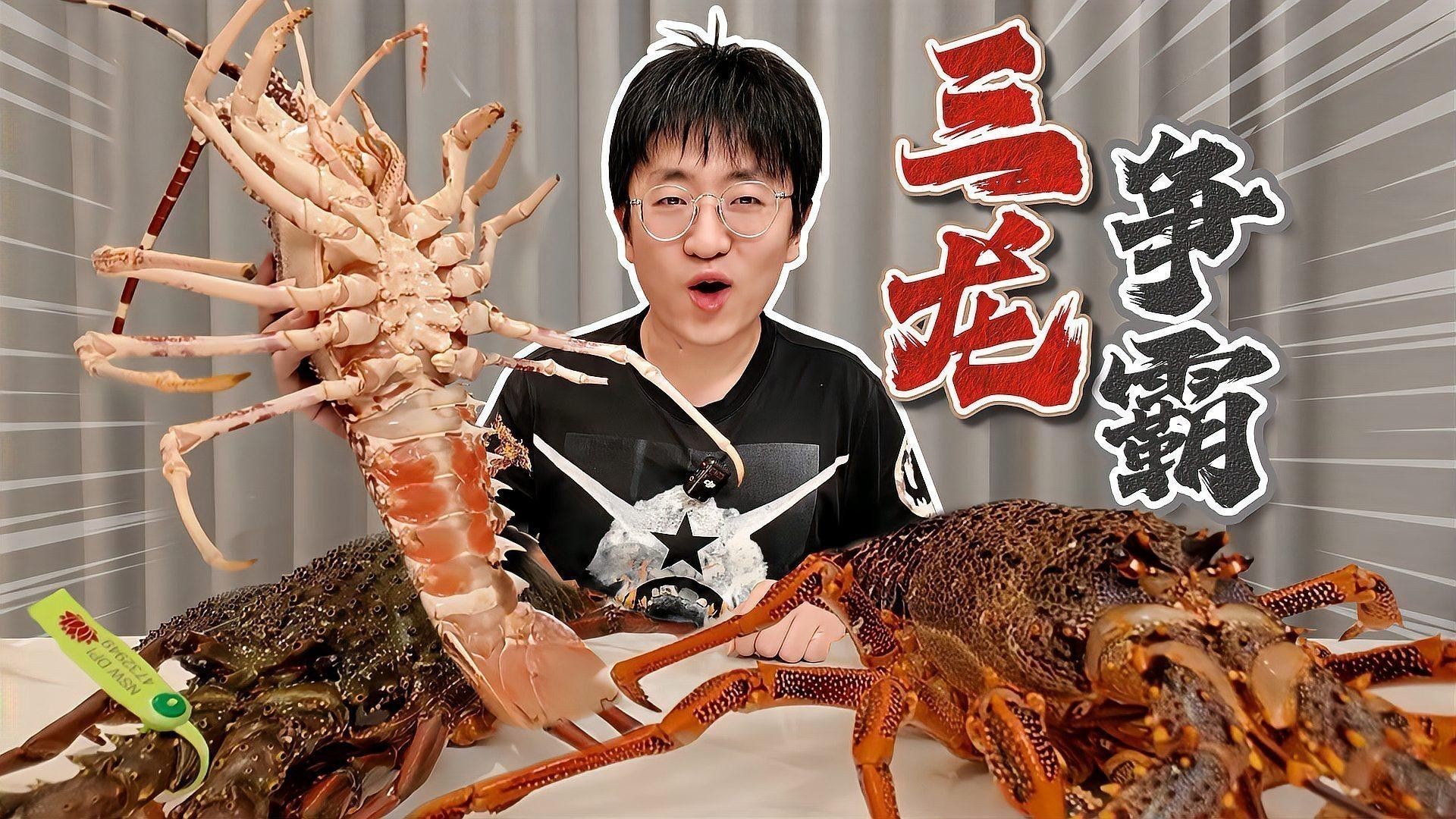 澳龍有哪些創意做法