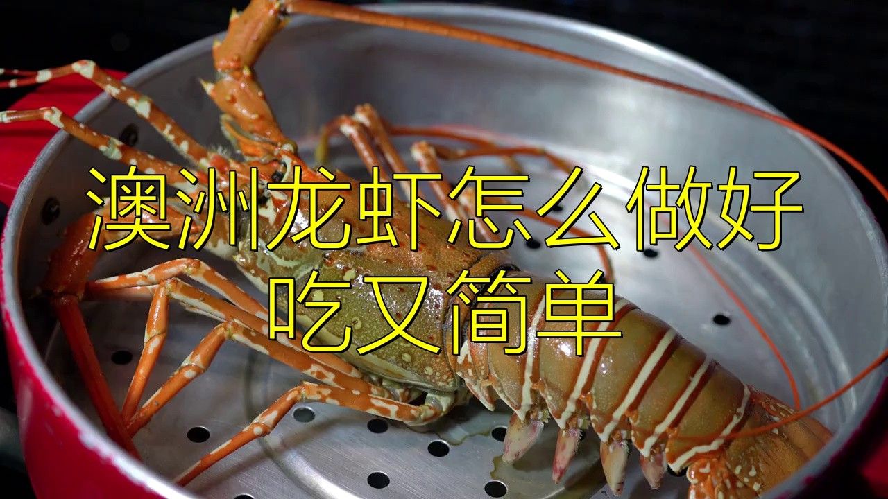 澳龍有哪些創意做法
