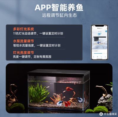 魚缸設計軟件APP推薦（智能魚缸設計軟件app推薦魚缸設計軟件app推薦） 魚缸設計軟件APP推薦（智能魚缸設計軟件app推薦魚缸設計軟件app推薦） 龍魚百科 第2張