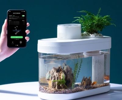 魚缸設計軟件APP推薦（智能魚缸設計軟件app推薦魚缸設計軟件app推薦） 魚缸設計軟件APP推薦（智能魚缸設計軟件app推薦魚缸設計軟件app推薦） 龍魚百科 第1張