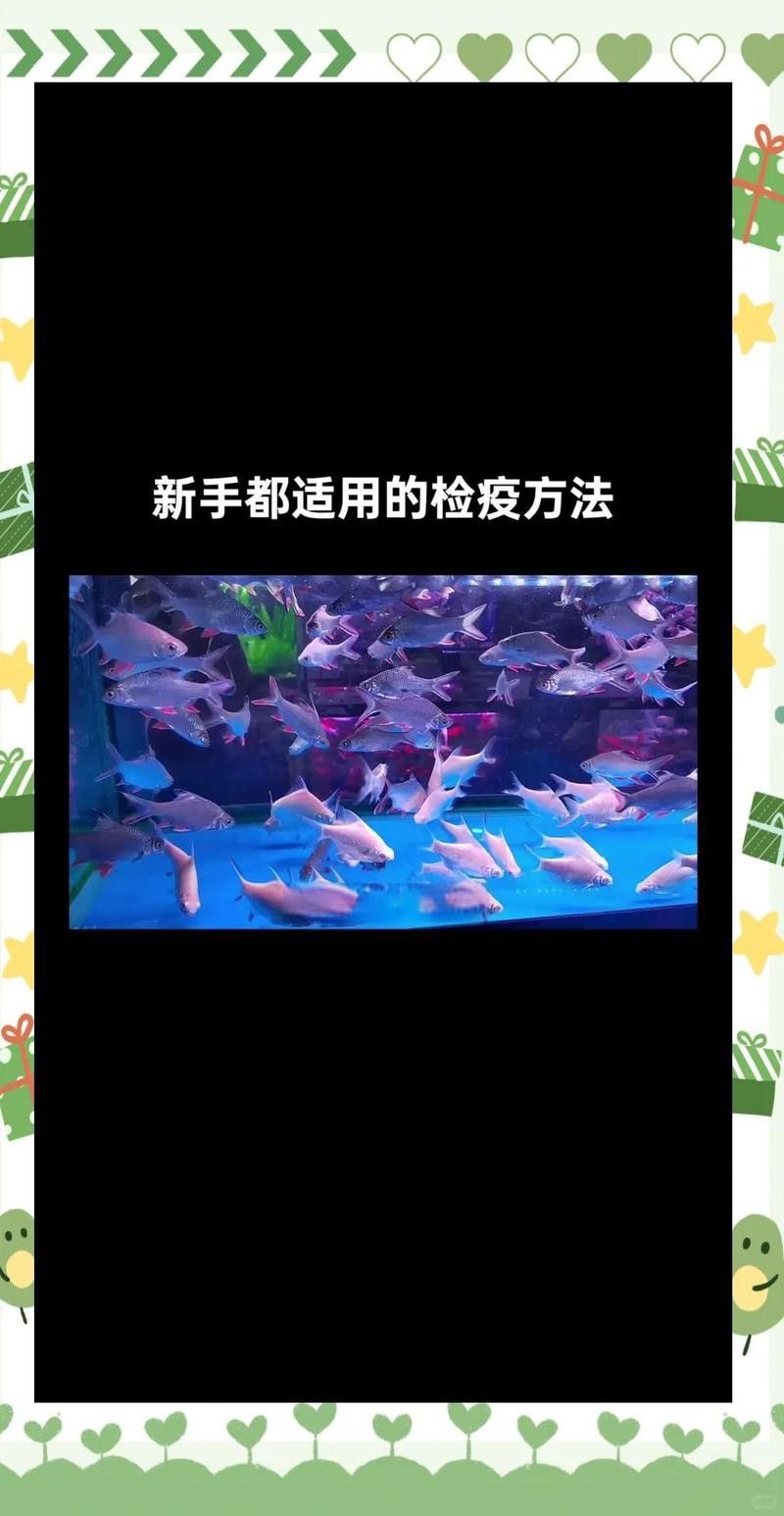 有沒(méi)有龍魚(yú)內(nèi)服的內(nèi)寄藥