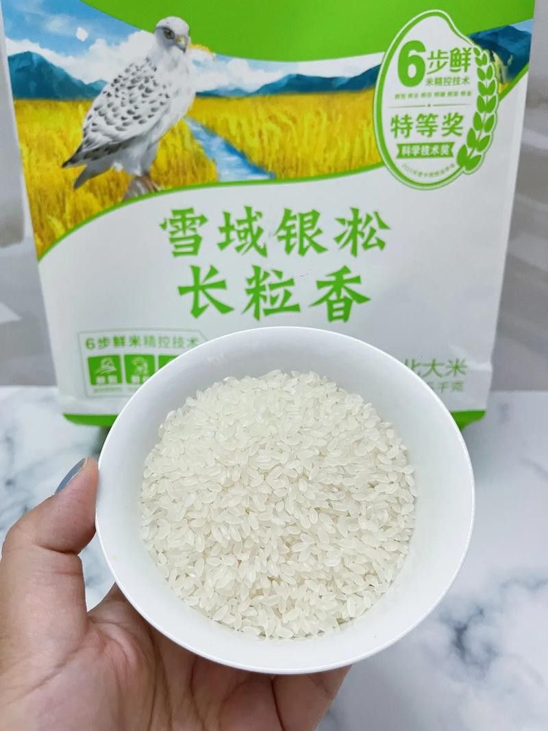 金龍魚廣西香米好吃嗎