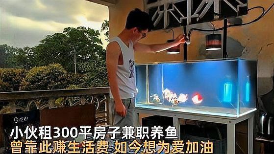 養龍魚掙錢嗎