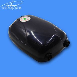 龍魚缸氧氣泵用不用一直開著才能充電：夏季龍魚缸氧氣管理技巧，氧氣泵定時(shí)設(shè)置的最佳實(shí)踐