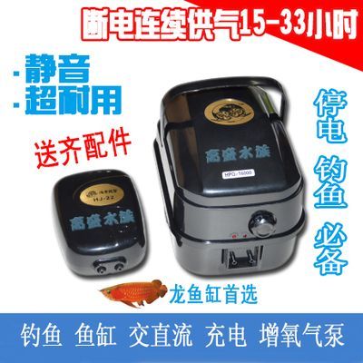 龍魚缸氧氣泵用不用一直開著才能充電：夏季龍魚缸氧氣管理技巧，氧氣泵定時(shí)設(shè)置的最佳實(shí)踐