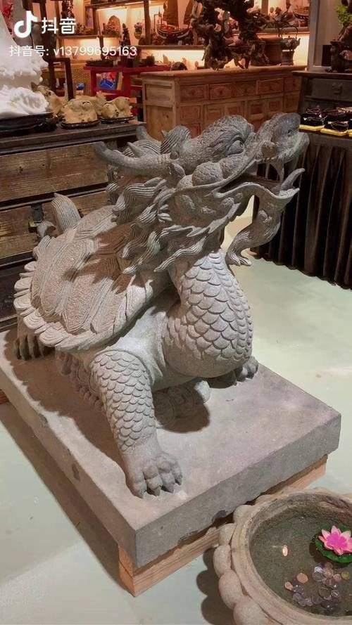 給我推薦一些高清大圖的龍龜圖片