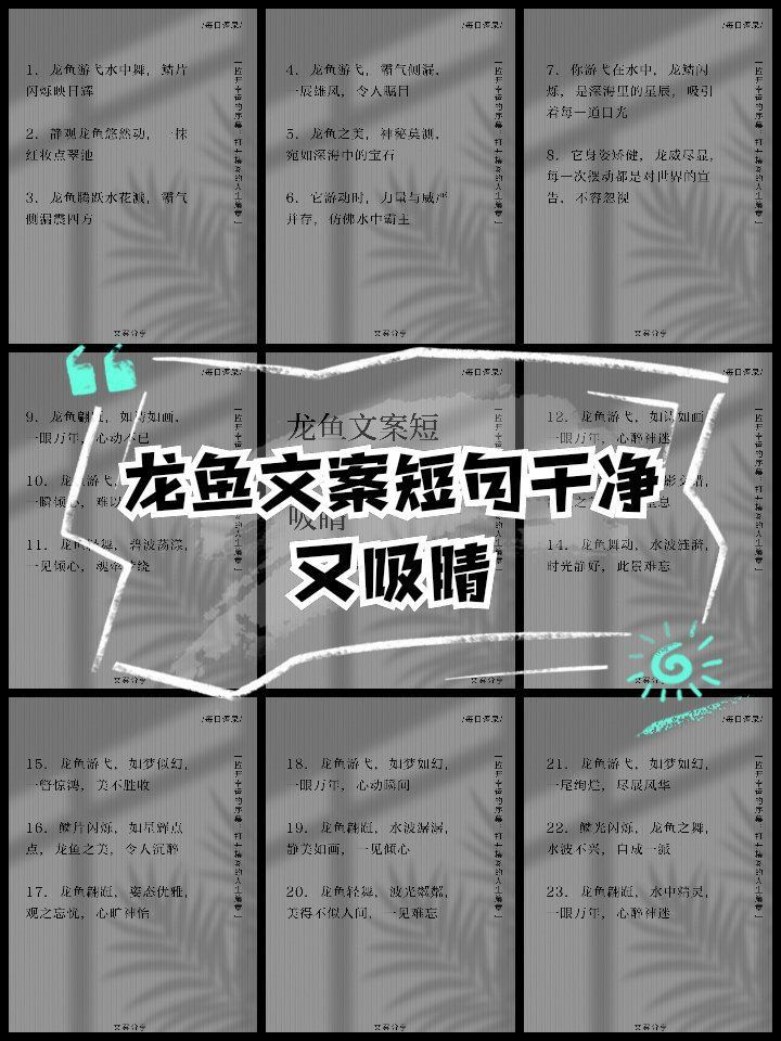 金龍魚最美十句短句