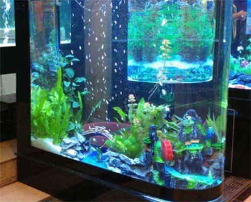 龍魚缸水泵要一直開著嗎為什么呢:龍魚缸水泵是否應該一直開著 龍魚百科 第1張 龍魚缸水泵要一直開著嗎為什么呢:龍魚缸水泵是否應該一直開著 龍魚缸水泵要一直開著嗎為什么呢:龍魚缸水泵是否應該一直開著 龍魚百科 第1張