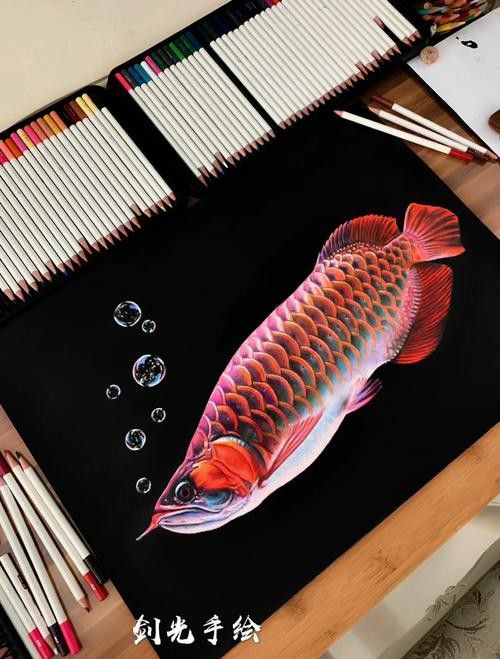 能推薦一些免費(fèi)的高清紅龍魚壁紙嗎？