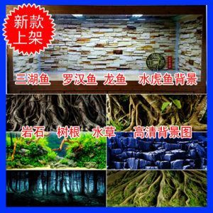 龍魚(yú)用水草背景好不好（龍魚(yú)缸中放水草有什么好處？）