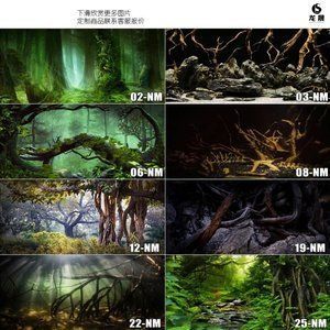 龍魚(yú)用水草背景好不好（龍魚(yú)缸中放水草有什么好處？）