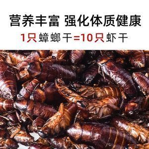 龍魚吃蟑螂干好嗎:龍魚吃蟑螂干在一定程度上是有益的但在喂食時(shí)應(yīng)注意適量原則 龍魚百科 第1張 龍魚吃蟑螂干好嗎:龍魚吃蟑螂干在一定程度上是有益的但在喂食時(shí)應(yīng)注意適量原則 龍魚吃蟑螂干好嗎:龍魚吃蟑螂干在一定程度上是有益的但在喂食時(shí)應(yīng)注意適量原則 龍魚百科 第1張