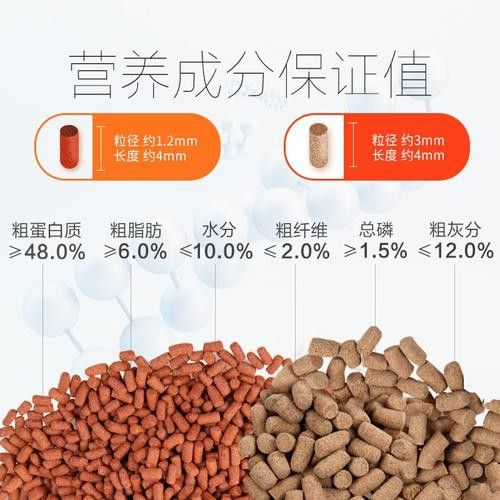 紅龍魚成魚喂什么飼料好？ 紅龍魚成魚喂什么飼料好？ 龍魚百科 第13張