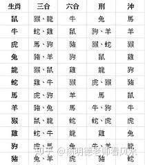 馬拉小紅龍什么人不能戴 馬拉小紅龍什么人不能戴 龍魚(yú)百科 第3張
