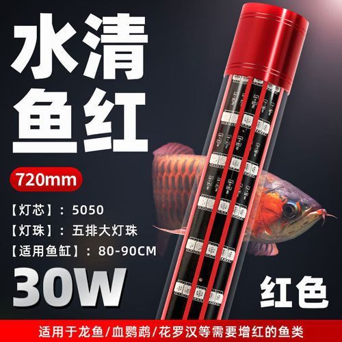 金龍魚缸燈擺放圖片