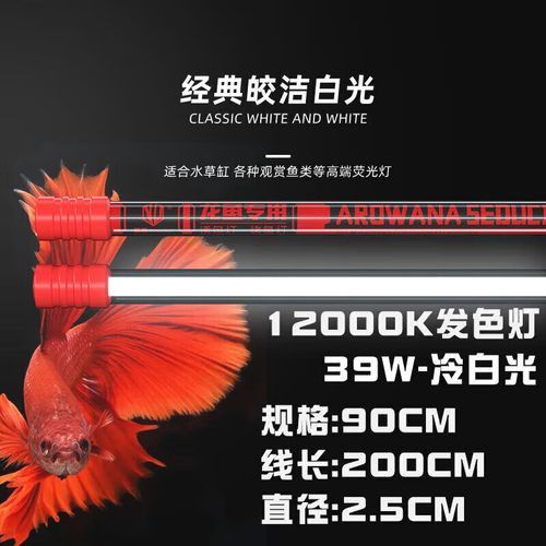 金龍魚缸燈擺放圖片
