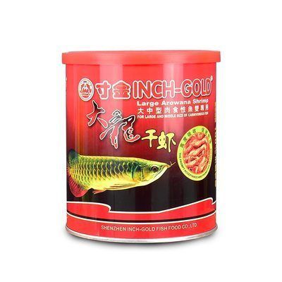 龍魚要養多久才大魚吃飼料：關于龍魚成長周期和飼料喂養的詳細信息