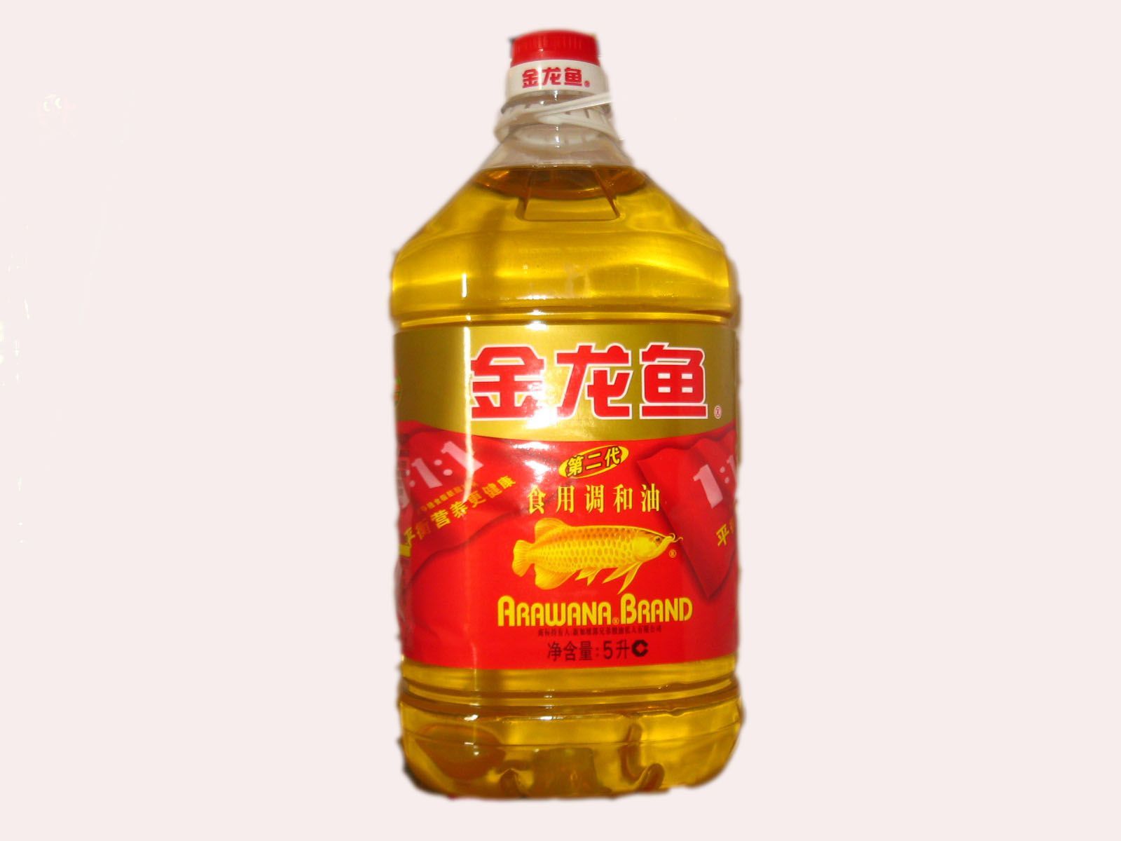 金龍魚為何那么貴？價值所在的品種，金龍魚價格昂貴的原因
