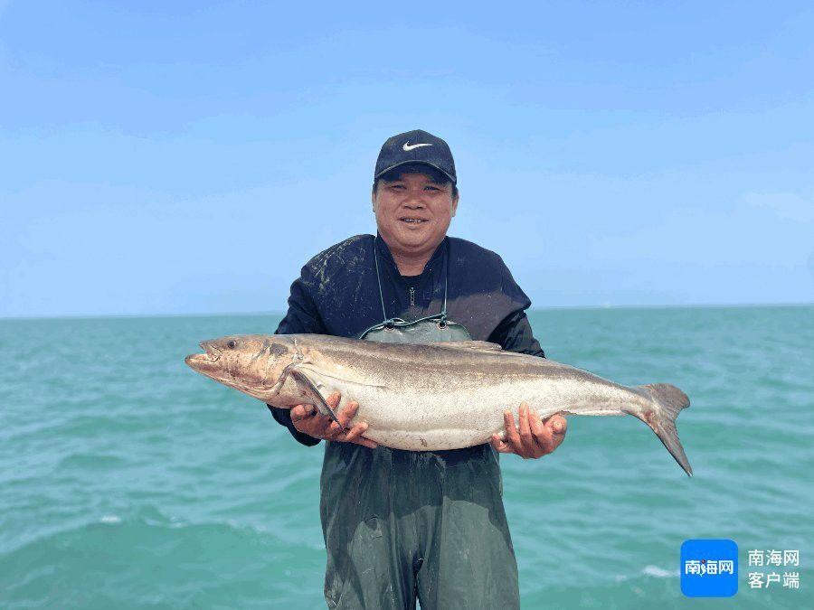 海口哪里養殖龍魚好些