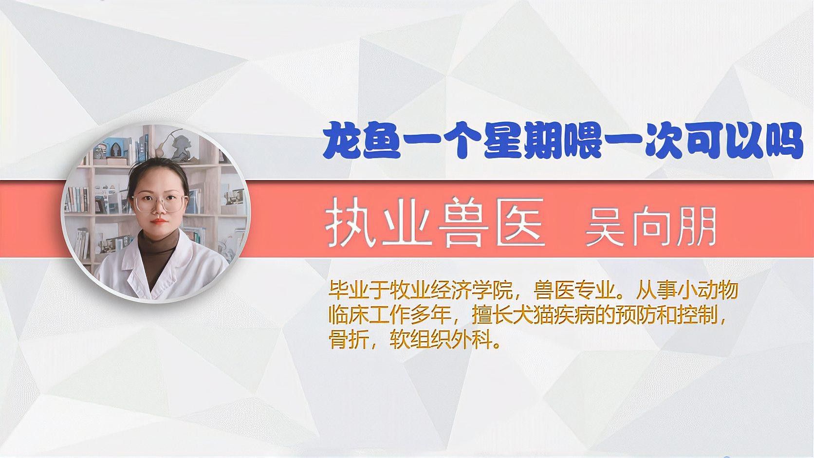 龍魚喂食的最佳時間
