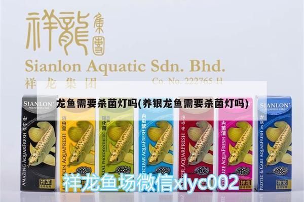 龍魚用不用殺菌燈（養龍魚是否需要使用殺菌燈）