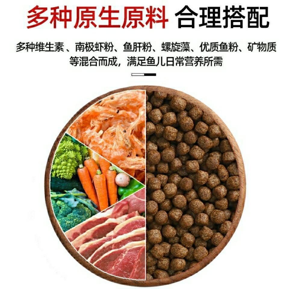 雷龍魚飼料搭配建議：雷龍魚輔食搭配指南雷龍魚飼料營養成分解析