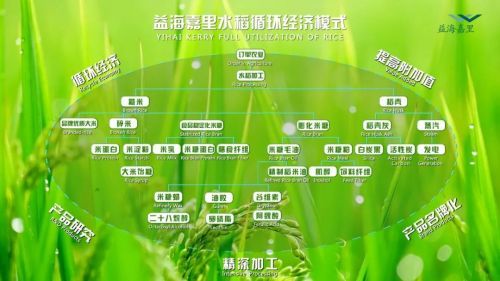 金龍魚估值多少美元（金龍魚上市后的ev/ebitda估值受到多種因素影響）