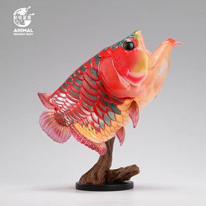 龍魚浮在水面老張嘴的原因（龍魚浮在水面并頻繁張嘴可能由多種因素引起以下因素引起） 龍魚浮在水面老張嘴的原因（龍魚浮在水面并頻繁張嘴可能由多種因素引起以下因素引起） 龍魚百科 第1張