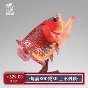 龍魚浮在水面老張嘴的原因（龍魚浮在水面并頻繁張嘴可能由多種因素引起以下因素引起） 龍魚浮在水面老張嘴的原因（龍魚浮在水面并頻繁張嘴可能由多種因素引起以下因素引起） 龍魚百科 第2張