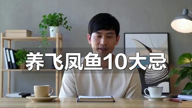 龍魚配什么魚最佳圖片