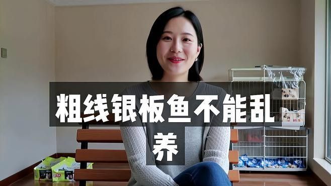 龍魚配什么魚最佳圖片