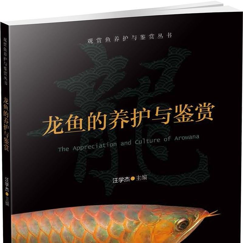 銀龍魚養(yǎng)殖技術培訓 銀龍魚養(yǎng)殖技術培訓 龍魚百科 第2張