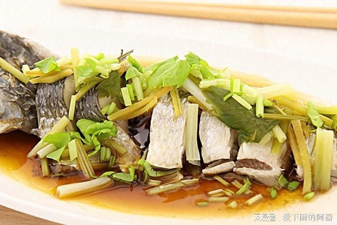 黑龍魚好吃嗎怎么養(yǎng)好 黑龍魚好吃嗎怎么養(yǎng)好 龍魚百科 第4張