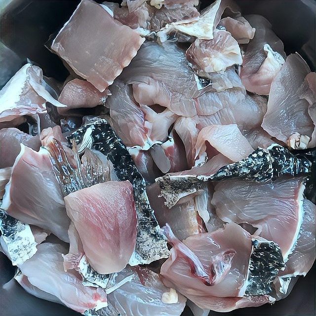 黑龍魚好吃嗎怎么養(yǎng)好 黑龍魚好吃嗎怎么養(yǎng)好 龍魚百科 第5張