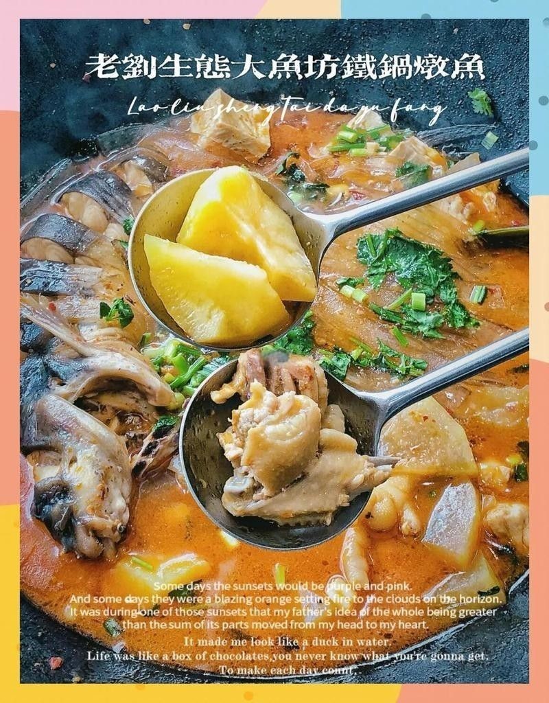 黑龍魚好吃嗎怎么養(yǎng)好 黑龍魚好吃嗎怎么養(yǎng)好 龍魚百科 第7張