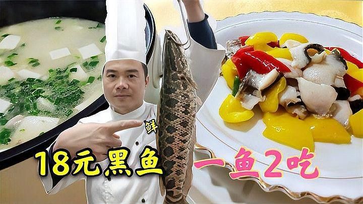 黑龍魚好吃嗎怎么養(yǎng)好 黑龍魚好吃嗎怎么養(yǎng)好 龍魚百科 第3張