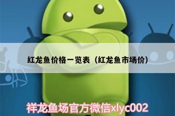 紅龍魚出售或轉讓信息最新（關于紅龍魚出售或轉讓的相關信息）