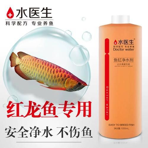 紅龍魚養(yǎng)殖方法和技巧圖解