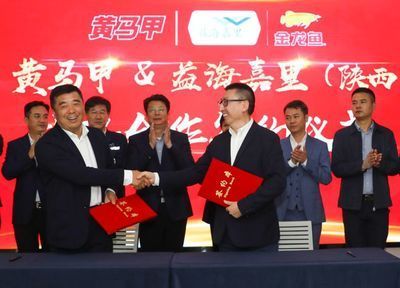 金龍魚咸陽總經銷（咸陽金龍魚公益活動詳情）