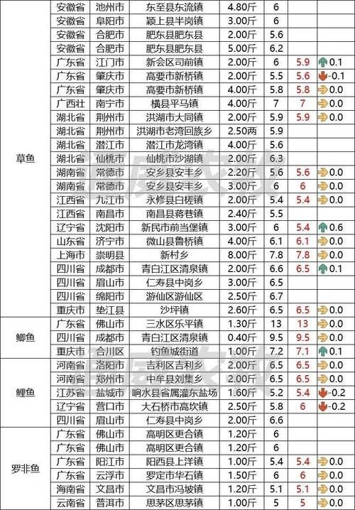 六安金龍魚代理在哪里做的好 六安金龍魚代理在哪里做的好 龍魚百科 第4張