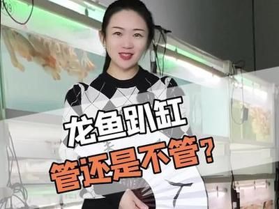 龍魚趴缸在水底不動怎么回事呀：龍魚趴缸不動可能是由多種因素引起的，可能是由多種因素引起的 龍魚趴缸在水底不動怎么回事呀：龍魚趴缸不動可能是由多種因素引起的，可能是由多種因素引起的 龍魚百科 第5張